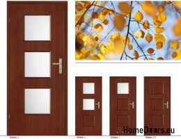 Interior room doors with glass PARMA 60