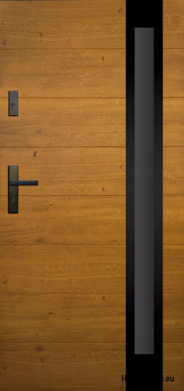 Dveře exteriérové, dřevěný panel DPC9 WARM