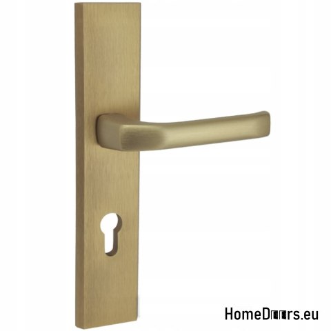 KLAMKO-POCHWYT DO DRZWI ZEWNĘTRZNYCH WKŁAD NEO PA