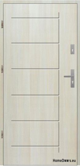 POLISH DOORS T41 55 mm polystyrene 100