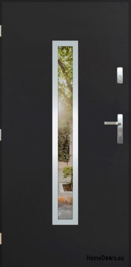 Exterior door with mirror W-10 INOX 70/80/90/100