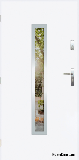 Exterior door with mirror W-10 INOX 70/80/90/100