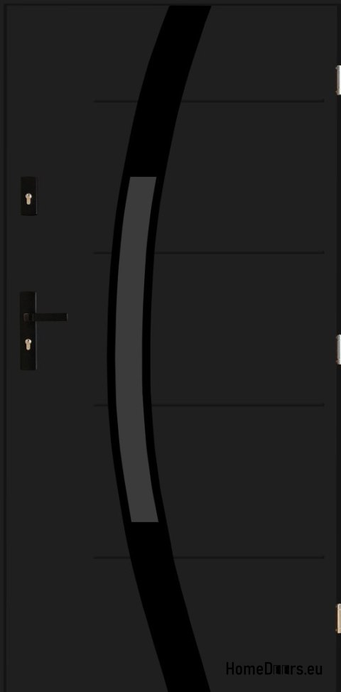 Drzwi zewnętrzne Sofia 05 black antracyt 80 PRAWE